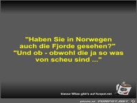 Haben Sie in Norwegen auch die Fjorde gesehen?