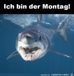 Montag.jpg auf www.funpot.net