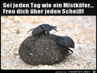 Freu dich �ber jeden Mist