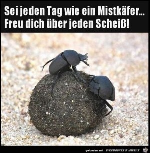 Freu-dich-ber-jeden-Mist.jpg auf www.funpot.net