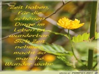 Zeit haben fuer die schoenen Dinge