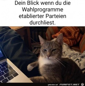 Die-Wahlprogramme-sind-seltsam.jpg auf www.funpot.net
