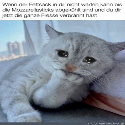 Den-Mund-verbrannt.jpg von Lillian