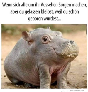 Sch�n-geboren.jpg auf www.funpot.net