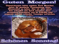 Lustige Sonntagsbegrung mit Eichhrnchen