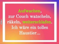 Der Haustiertraum: Schlafen f�r Profis!