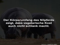 Nilpferd-Di�t enth�llt: Gem�se allein reicht nicht!