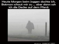 Batman oder Pferd? Nebel-Illusion entlarvt!