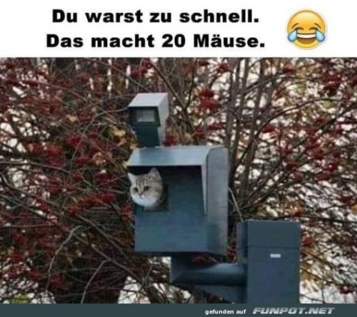 Du-bist-zu-schnell-gefahren.jpg auf www.funpot.net