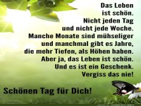 Schmetterlingsweisheit: Leben ist sch�n!