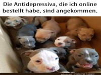 Ungew�hnliche Lieferung: Fellige Gl�ckspillen