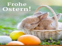 die H�schen w�nschen frohe Ostern