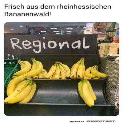 Ziemlich-regional.jpg von Nachtstern