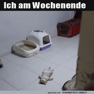 Chillen-am-Wochenende.jpg von Josefin