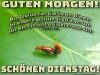 weiter