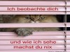 weiter