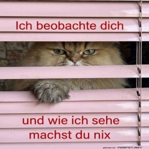 Katzendetektiv-auf-frischer-Tat-ertappt!.jpg von Josie-96