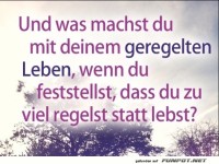 geregeltes Leben
