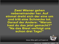 Zwei Wiener gehen nebeneinander her