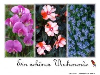 ein schoenes Wochenende 2