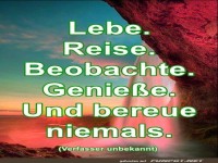 Lebe Reis Beobachte
