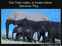 K�rzeren Weg genommen