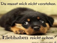 Du musst mich nicht verstehen