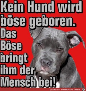 Das-ist-wahr.jpg auf www.funpot.net