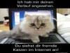 weiter