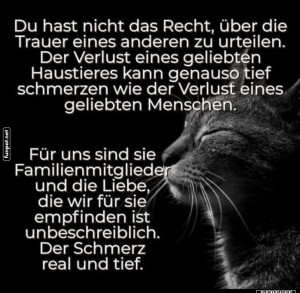 Verlust-und-Trauer-um-geliebte-Haustiere.jpg auf www.funpot.net