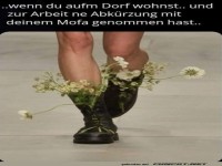 Mofa-Abenteuer mit l�ndlicher Note