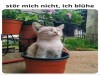 weiter