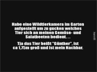 Wenn das Wildtier dein Nachbar ist!