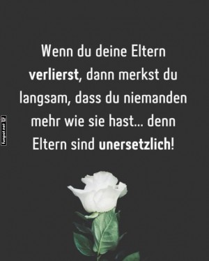 Unersetzliche-Elternweisheit!.jpg auf www.funpot.net