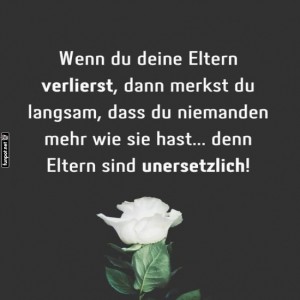 Unersetzliche-Elternweisheit!.jpg von Cecilia