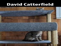 Meister des Katzenzaubers: Verschwunden!