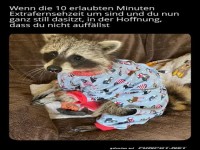 Schleichmodus aktiviert: Extra-TV-Zeit!