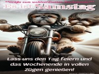 Samstagshunde auf Motorradtour!