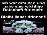 Frostiger Ratschlag vom Schlappohr