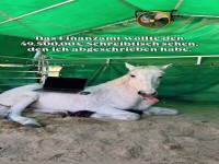 Da ist der Beweis