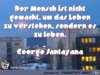 der Mensch ist nicht