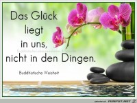Das Glueck