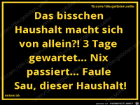 diegeilsten Haushalt