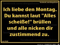 diegeilsten Montag2