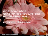 eine frau ohne geheimnisse