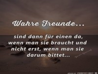 Das sind wahre Freunde
