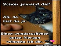Guten Morgen