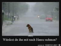 wrdest du ihn mit nach Hause nehmen?.......