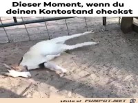 Das trifft einen hart