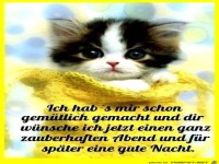 Schönen Abend und gute Nacht